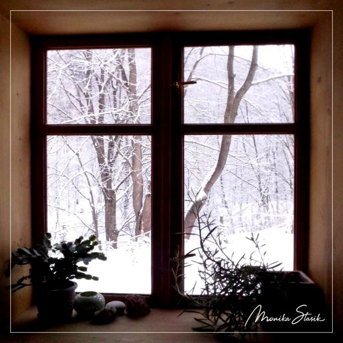 Winter seen from the radiator * Monika Stasik