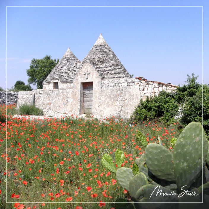 Piękne, dzikie i opuszczone trulli * Monika Stasik